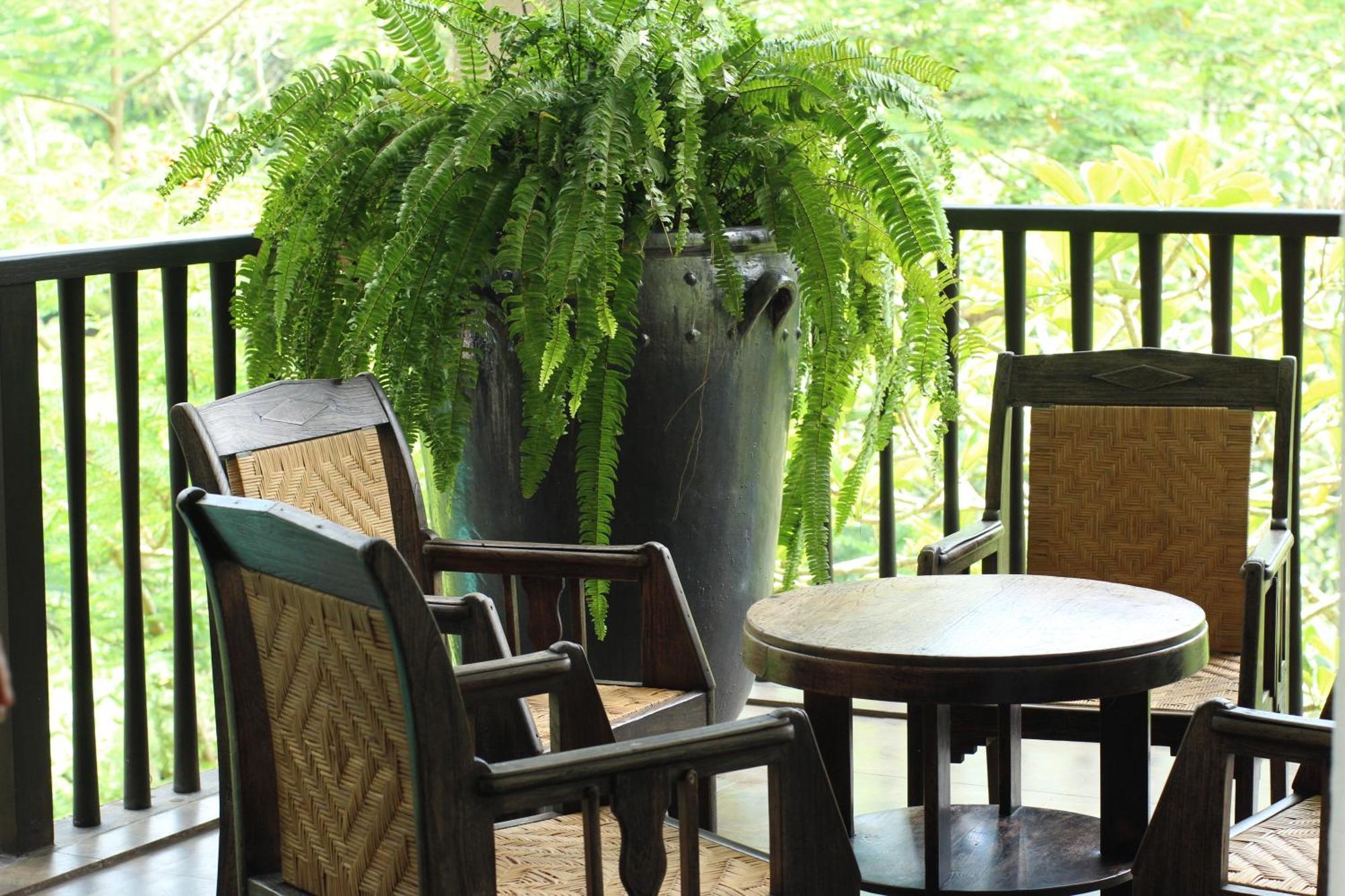 Naga Putih Villa Ubud
