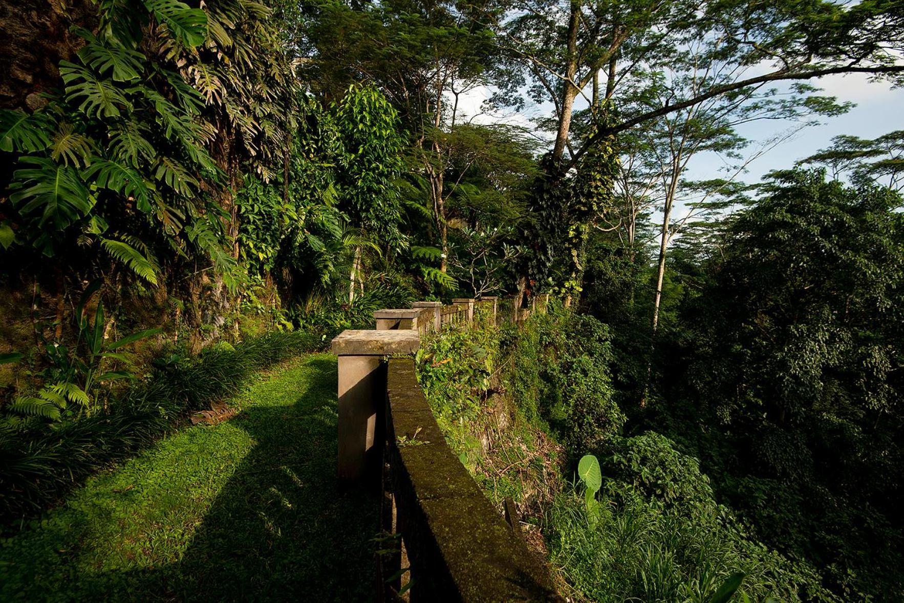 Villa Naga Putih Ubud